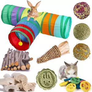 Rabbit Toys, Bunny Tunnels and Tubes with Chew Toys for Grinding Teeth Apple Sti - Picture 1 of 6