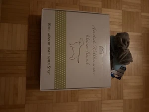 Hundefutter von RECO mit Spielzeug - Bild 1 von 1