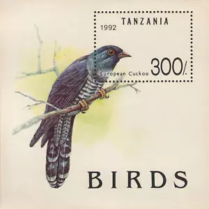 Tanzania - Birds - European Cuckoo - Picture 1 of 1