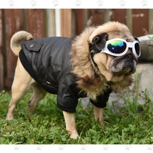 Warm Bomber Jacket, Plush lining, Snap Closures, Great for dogs 5-25 pounds, - Picture 1 of 10