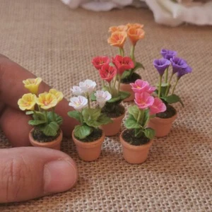 6 bunte Primelblumen in Terrakotta-Töpfen Puppenhaus Miniatur handgefertigte Deko - Bild 1 von 10