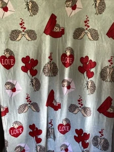 Way To Celebrate Valentine Hedge Hog Cozy Soft Plüsch Überwurf Decke 49x 64in - Bild 1 von 10