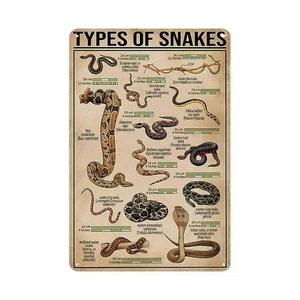Types of Snakes Metal Sign - Rustic Vintage Tin Sign, Hunting Decor Education... - Bild 1 von 6