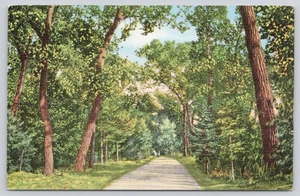 River Drive auf Farm Island Pierre South Dakota SD Postkarte - Bild 1 von 2