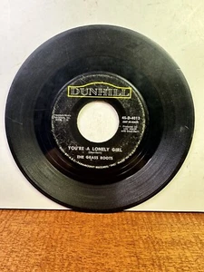 45 Schallplatte - The Grass Roots - Mr. Jones - You're a Lonely Girl - Dunhill Records - Bild 1 von 2