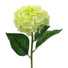 Kunstblume HORTENSIE 56cm. Künstliche Hortensienblüte Blume in GRÜN