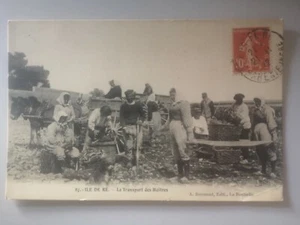 CPA - 17 - ILE DE RE - Le transport des Huîtres - Imagen 1 de 2