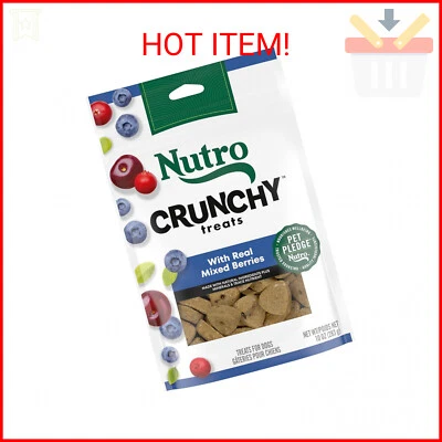 Nutro Crunchy Dog Treats with Real Mixed Berries, 10 oz. Bag - Image 1 of 2