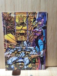 WILD C.A.T.S.🏆1993 Topps #40 Trading Card🏆FREE POST - Bild 1 von 2