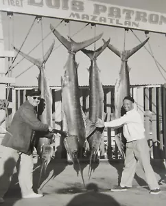 Gioco Vintage Fish Marlin Foto 8" X 10" Trofeo Pesce Vela Mazatlan Messico anni 50-60 - Foto 1 di 4