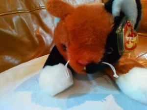 TY Beanie Buddies CHIP The Cat 2ND GENERATION With Gosport/Gasport Error - Picture 1 of 12