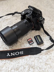 Sony DSLR A290 Camera with Sony SAL75300 75-300mm Lens Working - Picture 1 of 14