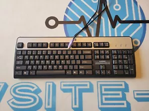 Clean Black/Silver HP KB-0316 Wired PS/2 QWERTY English Keyboard w/ Back Risers - Picture 1 of 6