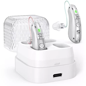 BTE Digital Rechargeable Hearing Aid For Severe Hearing Loss With Charging Case - Picture 1 of 7