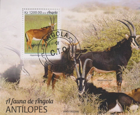 Antelope Angola Postmarked 5233 Cover