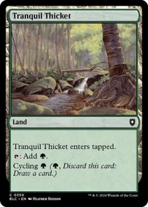 Tranquil Thicket: Commander: Bloomburrow - MTG NM - Picture 1 of 1
