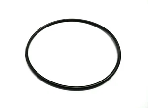 Guarnizione P6119 P6119ASS16 Anello di tenuta per Bestway INTEX 58389 Flowclear 5.678 l/h - Foto 1 di 8