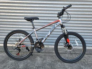 NEW XS 24" BOY GIRL MOUNTAIN BIKE 21 SHIMANO GEARS - METALLIC GREY - FREE LOCK ! - Picture 1 of 5