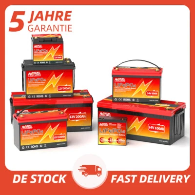 MOSEWORTH LiFePO4 Akku 12V 24V 100Ah 200Ah 300Ah Lithium Batterie BMS für Wohnmobile Solar