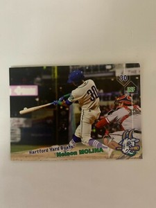 Nelson Molina 2019 Hartford Yard Goats Team Card