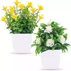 Der Rose 2 Pack Fake Plants Mini Artificial Faux Plants with Flowers for Home - Picture 1 of 2