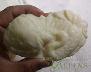 Japanese Turtle & Crane Handmade Lard & Ginger Soap Approx 2.5 oz - Bild 1 von 2
