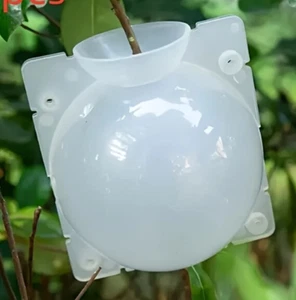 2  X Pflanzenwurzel Vorrichtung Wurzelbox Kugel Pfropf , Bewurzelung    2 - Bild 1 von 3