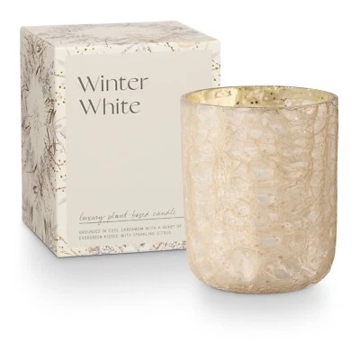 Illume - Winter White Boxed Crackle Glass Candle Small - 46280333000 - Image 1 of 4