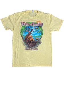 Dead and Company Summer 2022 Tour T Shirt Adult Size Large - Picture 1 of 7