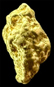 Pepita de oro puro natural genuina de 0,899 gramos Alaskan Yukon BC #AK511 - Imagen 1 de 6