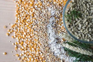 Vogelfutter Pellets für Papageien - 4,5 kg Hauptnahrung - SMALL Sittichfutter - Bild 1 von 4