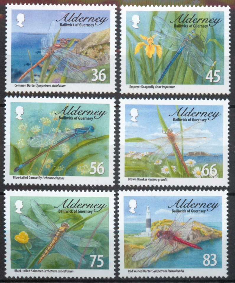 Alderney 2010 Dragonflies insects set SG A381-A386 MNH mint *COMBINED POSTAGE* - Image 1 of 1