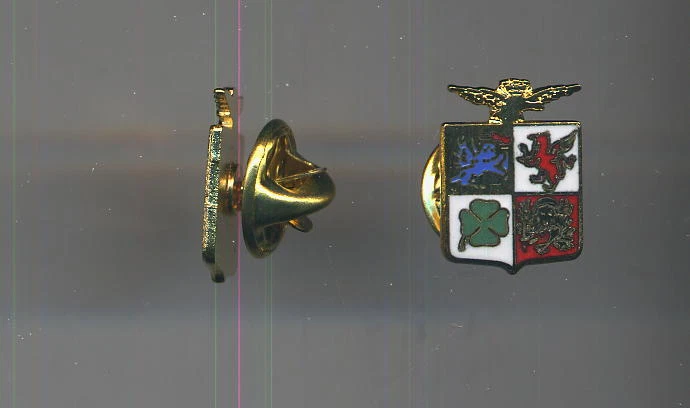 spilla pin Aeronautica Militare Italiana badge AMI Italian Air Force army -Nuova