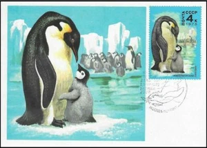 Antarctica King Penguin & Babe Aptenodytes patagonicus Russia Mint Maxi FDC 1978 - Picture 1 of 1
