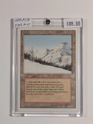 Taiga  UNPLAYED RARE Revised NMT OR BETTER  HOT🔥 KEY🗝️ Magic The Gathering MTG - Image 1 of 4