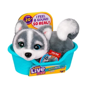 Little Live Pets My Really Real Puppy Mini Aurora Husky Interactive Plush Toy 20 - Foto 1 di 7