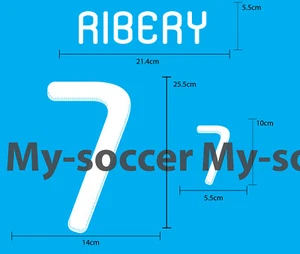 France Home World Cup 2010 PU NAME NUMBER PRINT EXCELLENT QUALITY - Picture 1 of 9