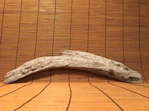 Schönes 21" Treibholz Aquarium Terrarium Aquascape Blumendekor Handwerk Kunst - Bild 1 von 12