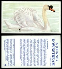 Mute Swan #14 A Journey Downstream 1990 Brooke Bond Tea Card