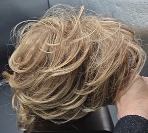 Paula Young Light Ash Brown Frosted A1279 24T/18B Montana Wig Whisperlite Large - Picture 1 of 6
