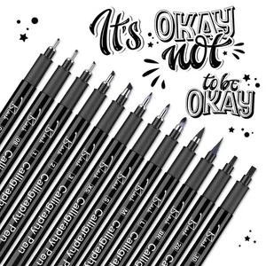 12-Piece Calligraphy Pen Set for Beginners - Waterproof & Quick-Drying - Picture 1 of 7