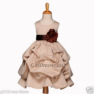 VESTIDO NIÑA FLOR RECOGIDA RECITAL CHAMPÁN/MARRÓN 6M 9M 12M 18M 2 3/4 6 8 10 12 - Imagen 1 de 2