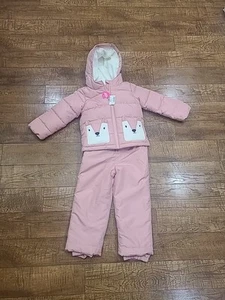 NWT The Children's Place Winter Coat And Snowpants Set Girls 5t SACHETPINK FOX - Picture 1 of 10