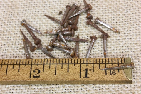 5/8” old Cobblers Shoe NAILS 25 Tacks 3/16” round domed head vintage Brads Cover