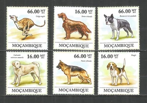 Mozambique 2011 year, mint MNH (**) Dogs - Picture 1 of 1