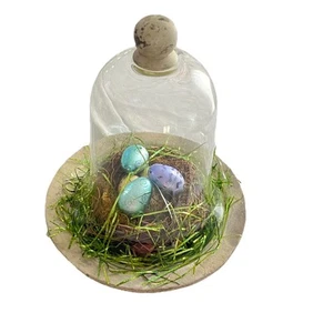 Large Glass Cloche Mossy Bird Nest Speckled Eggs Farmhouse Rustic Earthenware - Picture 1 of 11