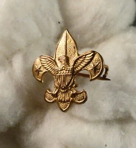 Pin vintage premio BSA pasador vintage pie tierno - era 1947 a 1950 alambre doblado posterior - Imagen 1 de 4