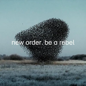 New Order Be a Rebel (Vinyl) Limited 12" Album Coloured Vinyl - Picture 1 of 1