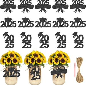 24Pcs Graduation Glitter Mason Jars Tags 2025 Graduation Decoration Black - Glit - Picture 1 of 12