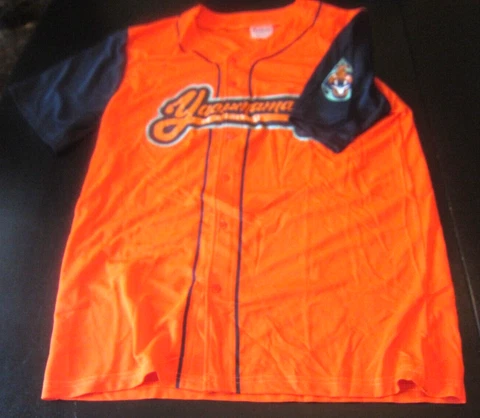 NEW Yacumamas of Asheville Tourists SGA Baseball Jersey Adult Large Cover